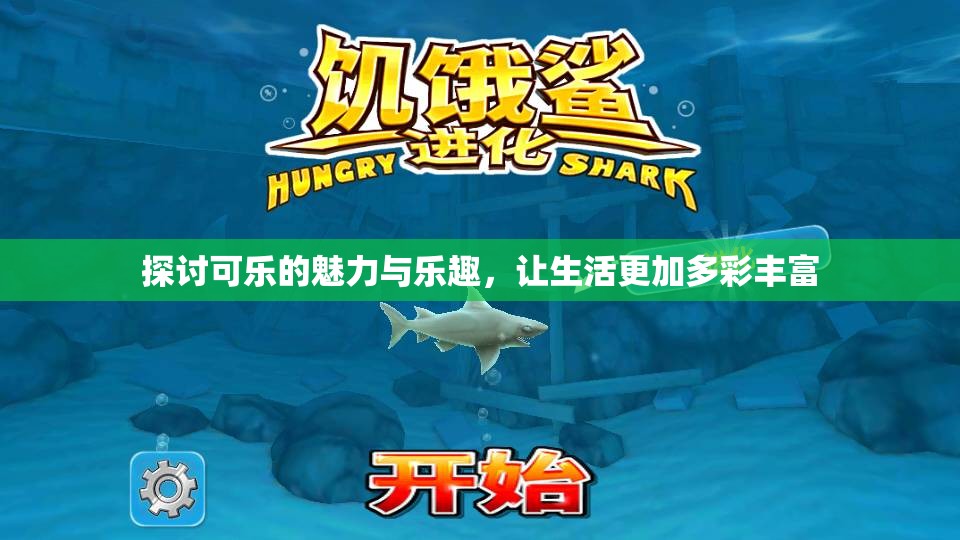 探讨可乐的魅力与乐趣，让生活更加多彩丰富