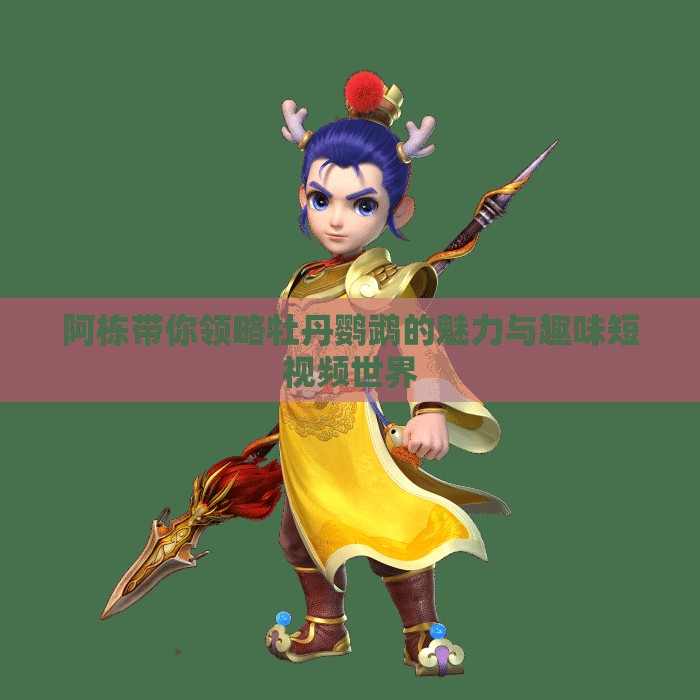 阿栋带你领略牡丹鹦鹉的魅力与趣味短视频世界