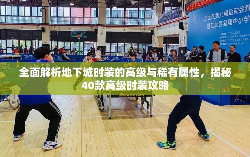 全面解析地下城时装的高级与稀有属性，揭秘40款高级时装攻略