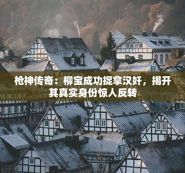 枪神传奇：柳宝成功捉拿汉奸，揭开其真实身份惊人反转