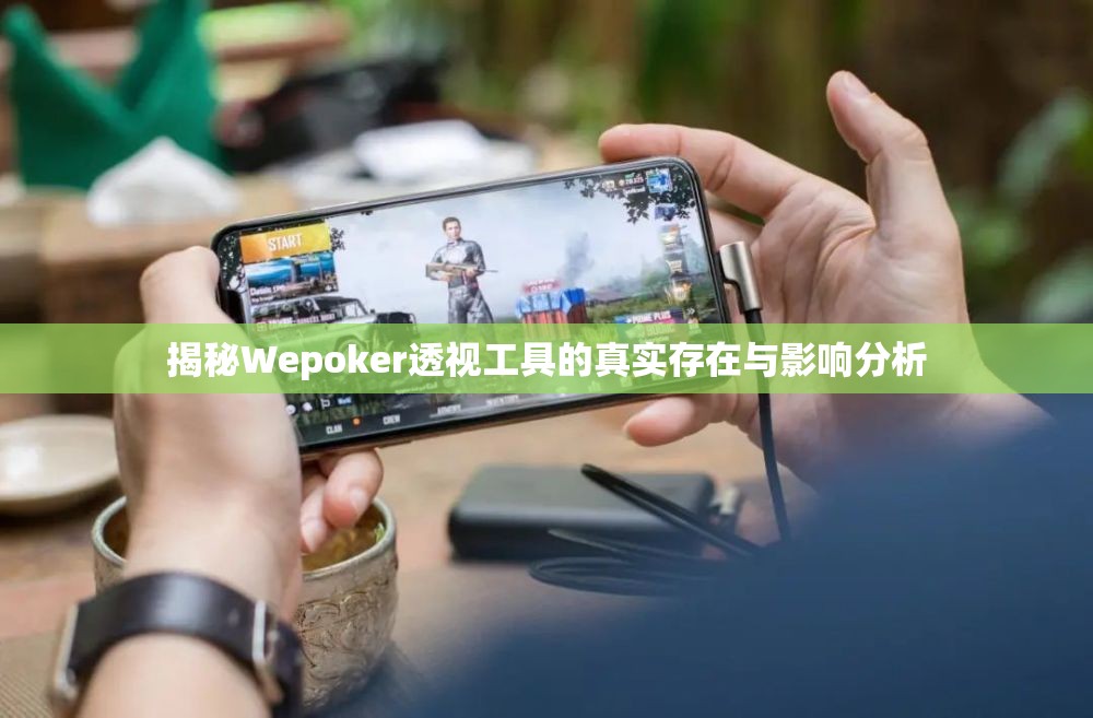 揭秘Wepoker透视工具的真实存在与影响分析