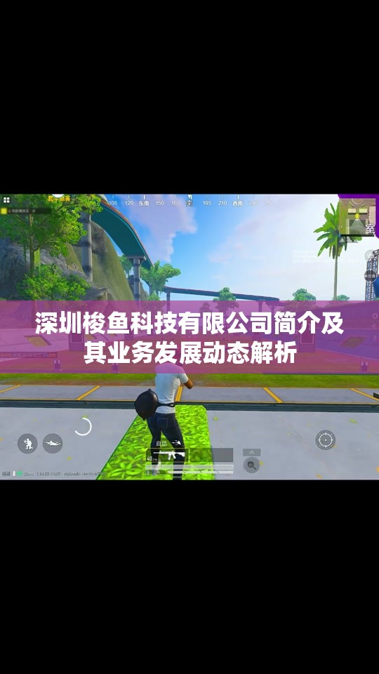 深圳梭鱼科技有限公司简介及其业务发展动态解析