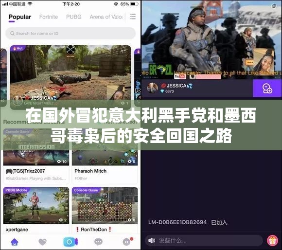 在国外冒犯意大利黑手党和墨西哥毒枭后的安全回国之路