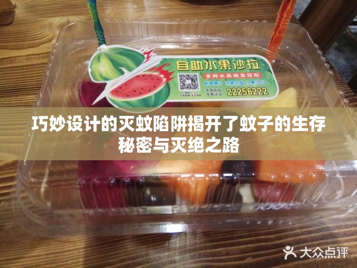 巧妙设计的灭蚊陷阱揭开了蚊子的生存秘密与灭绝之路