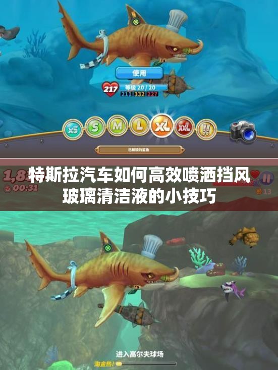 特斯拉汽车如何高效喷洒挡风玻璃清洁液的小技巧