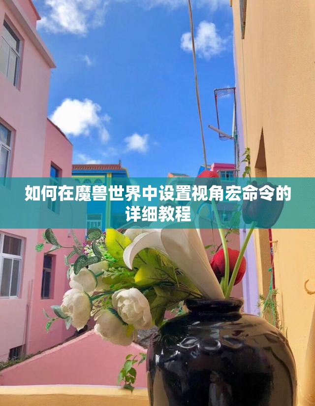 如何在魔兽世界中设置视角宏命令的详细教程