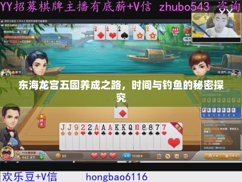 东海龙宫五固养成之路，时间与钓鱼的秘密探究
