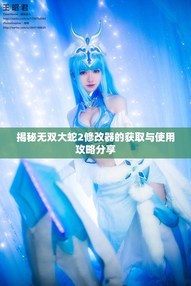 揭秘无双大蛇2修改器的获取与使用攻略分享