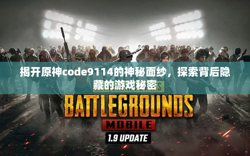 揭开原神code9114的神秘面纱，探索背后隐藏的游戏秘密