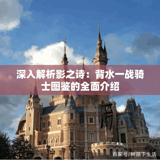 深入解析影之诗：背水一战骑士图鉴的全面介绍