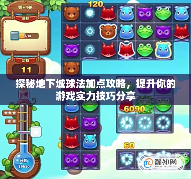 探秘地下城球法加点攻略，提升你的游戏实力技巧分享