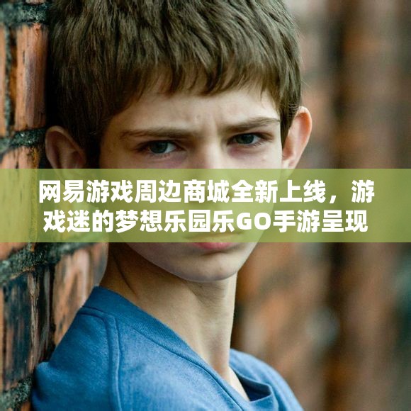 网易游戏周边商城全新上线，游戏迷的梦想乐园乐GO手游呈现