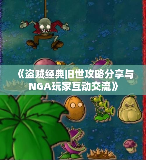 《盗贼经典旧世攻略分享与NGA玩家互动交流》