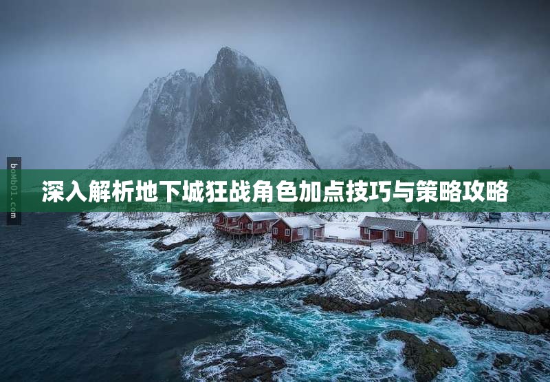深入解析地下城狂战角色加点技巧与策略攻略