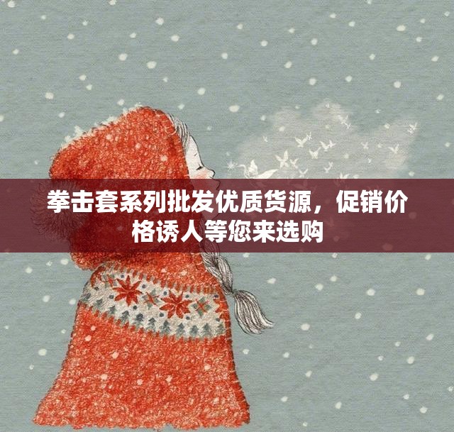 拳击套系列批发优质货源，促销价格诱人等您来选购
