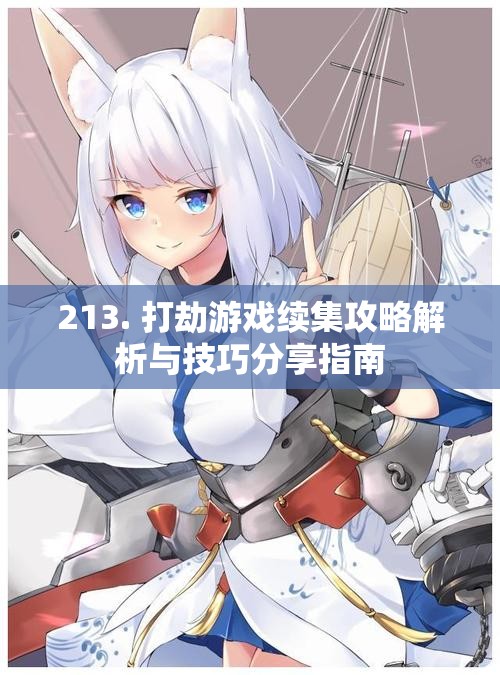 213. 打劫游戏续集攻略解析与技巧分享指南