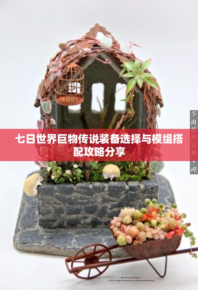 七日世界巨物传说装备选择与模组搭配攻略分享