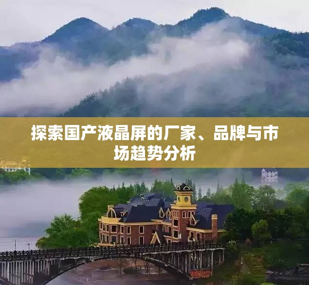 探索国产液晶屏的厂家、品牌与市场趋势分析