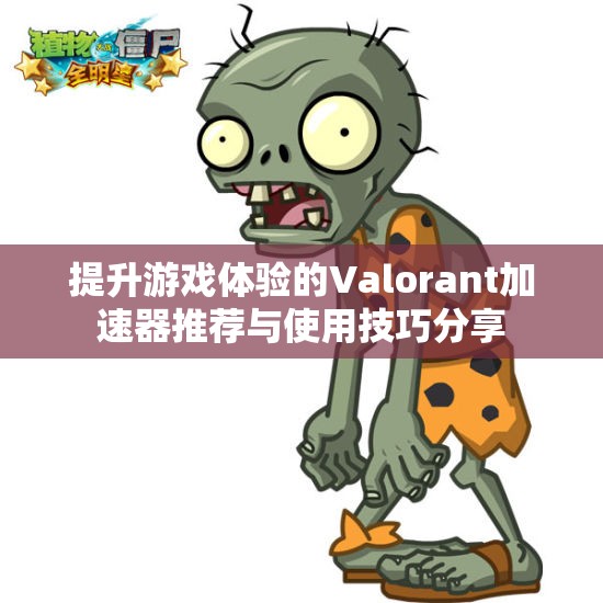 提升游戏体验的Valorant加速器推荐与使用技巧分享