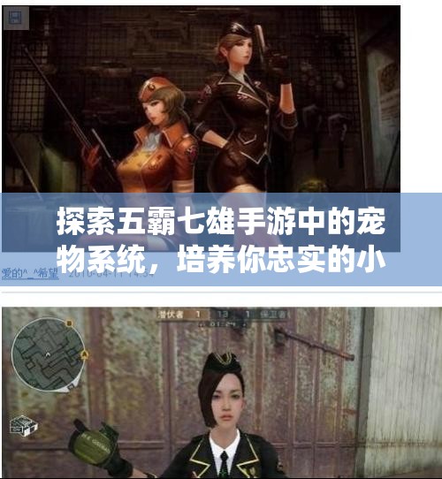 探索五霸七雄手游中的宠物系统，培养你忠实的小伙伴！