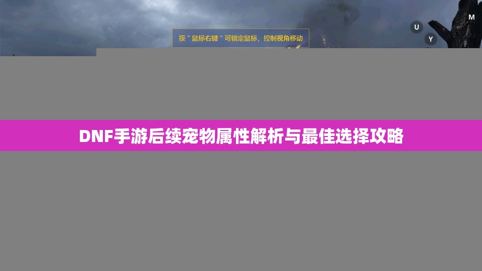 DNF手游后续宠物属性解析与最佳选择攻略