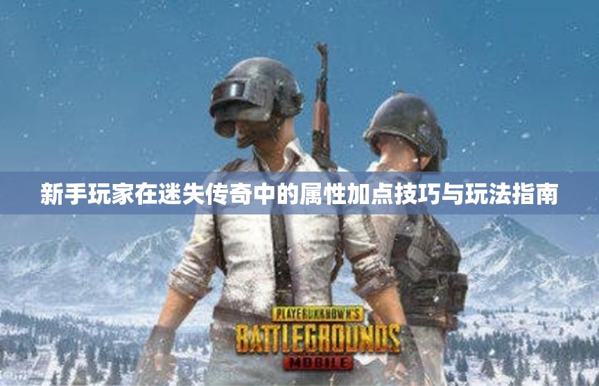 新手玩家在迷失传奇中的属性加点技巧与玩法指南