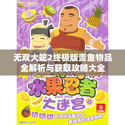 无双大蛇2终极版贵重物品全解析与获取攻略大全