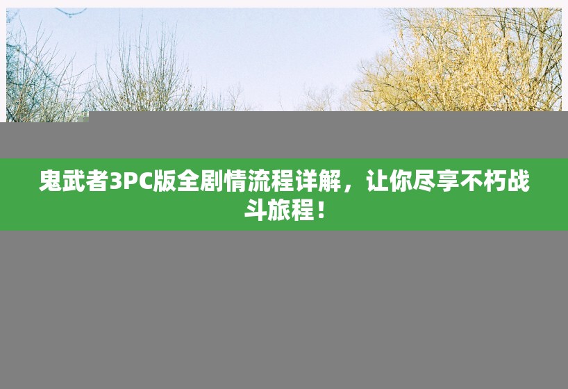 鬼武者3PC版全剧情流程详解，让你尽享不朽战斗旅程！