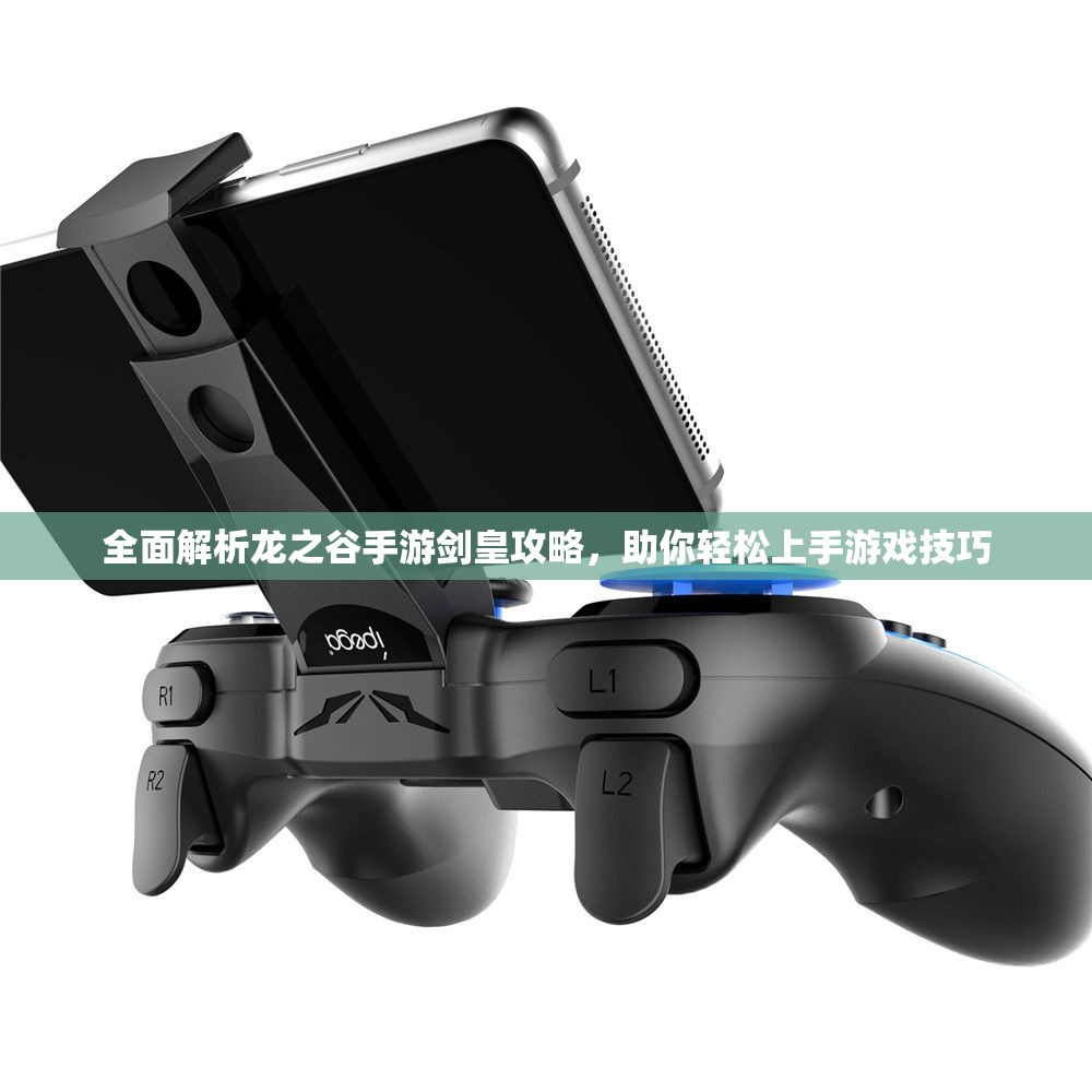 全面解析龙之谷手游剑皇攻略，助你轻松上手游戏技巧