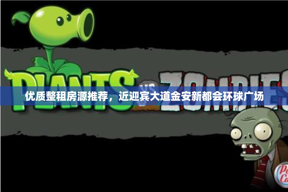 优质整租房源推荐，近迎宾大道金安新都会环球广场