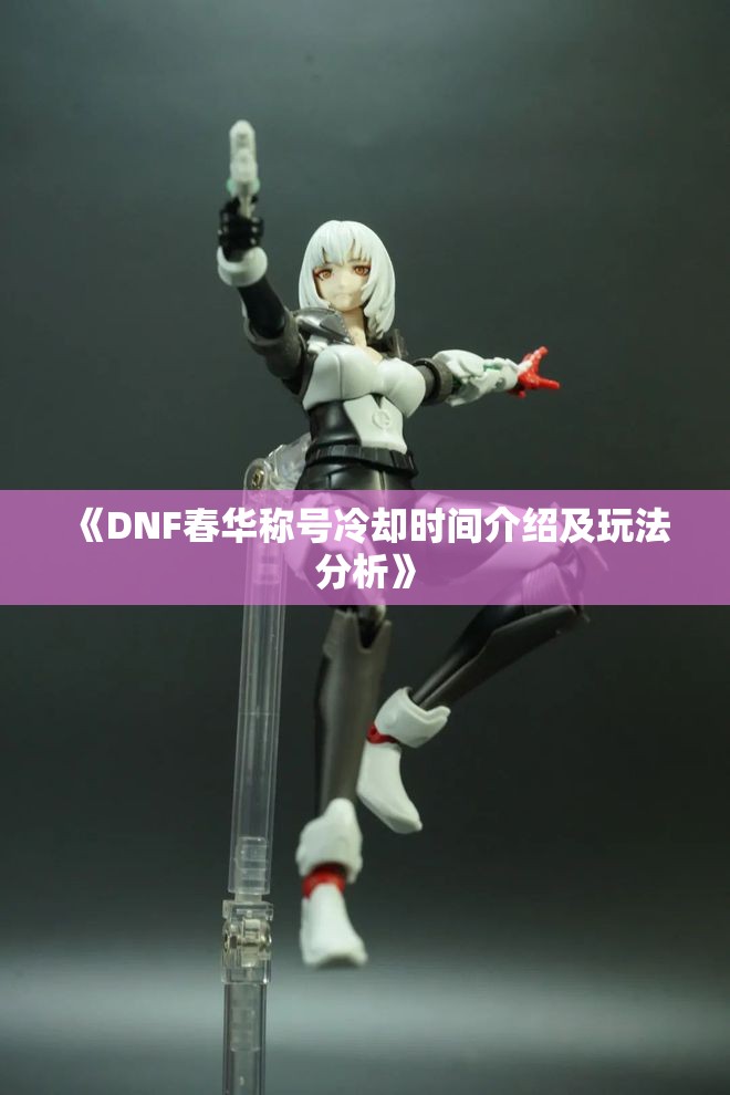 《DNF春华称号冷却时间介绍及玩法分析》