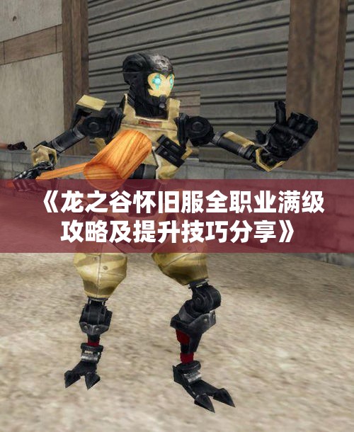 《龙之谷怀旧服全职业满级攻略及提升技巧分享》