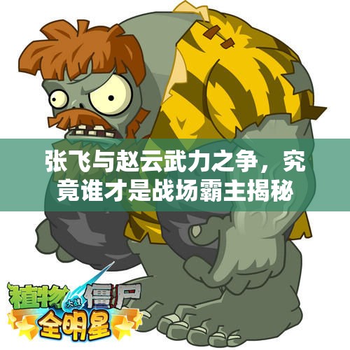 张飞与赵云武力之争，究竟谁才是战场霸主揭秘