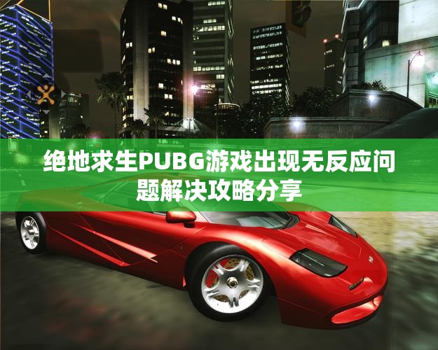 绝地求生PUBG游戏出现无反应问题解决攻略分享