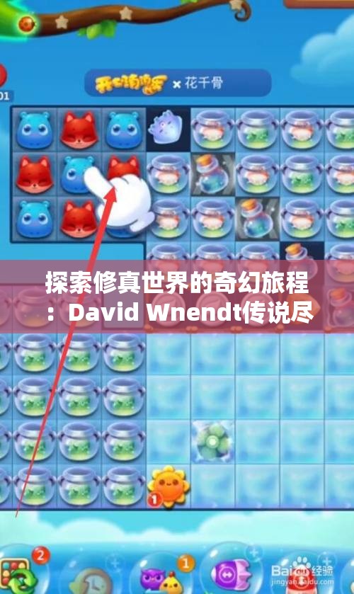 探索修真世界的奇幻旅程：David Wnendt传说尽在这里