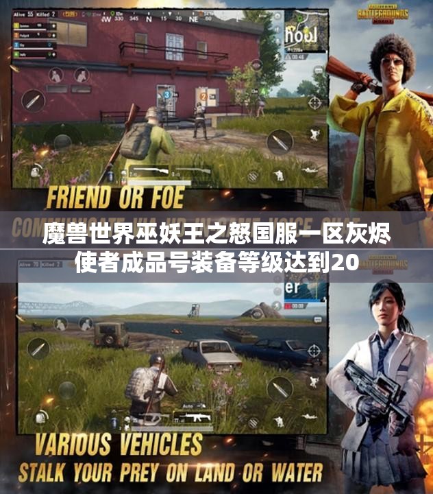 魔兽世界巫妖王之怒国服一区灰烬使者成品号装备等级达到20