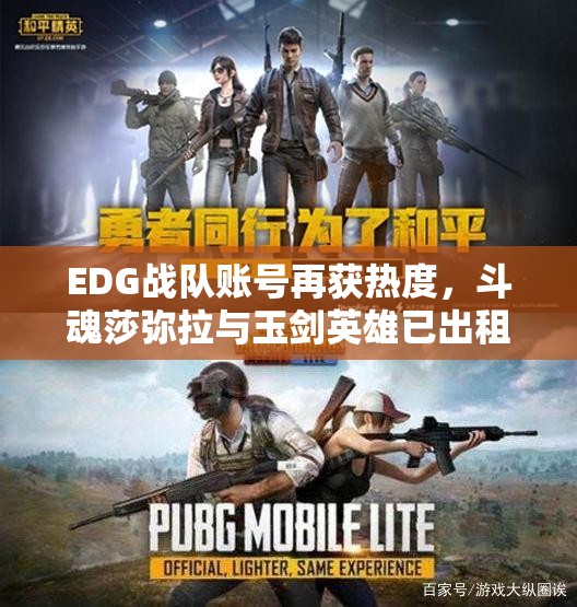 EDG战队账号再获热度，斗魂莎弥拉与玉剑英雄已出租数次