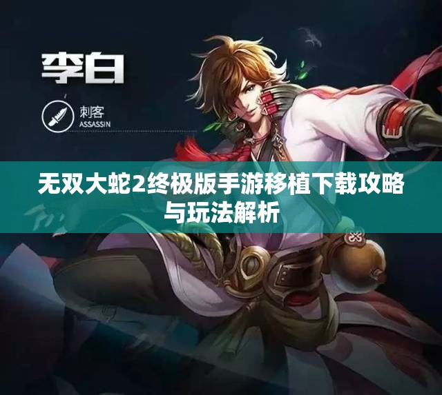 无双大蛇2终极版手游移植下载攻略与玩法解析