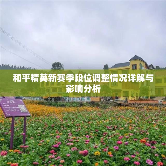 和平精英新赛季段位调整情况详解与影响分析