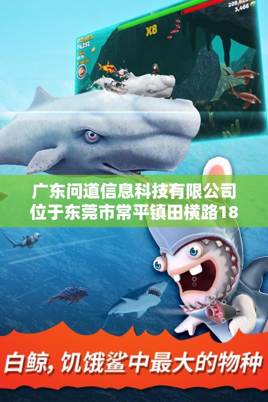广东问道信息科技有限公司位于东莞市常平镇田横路187的全面介绍