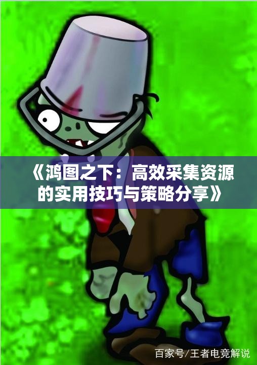 《鸿图之下：高效采集资源的实用技巧与策略分享》