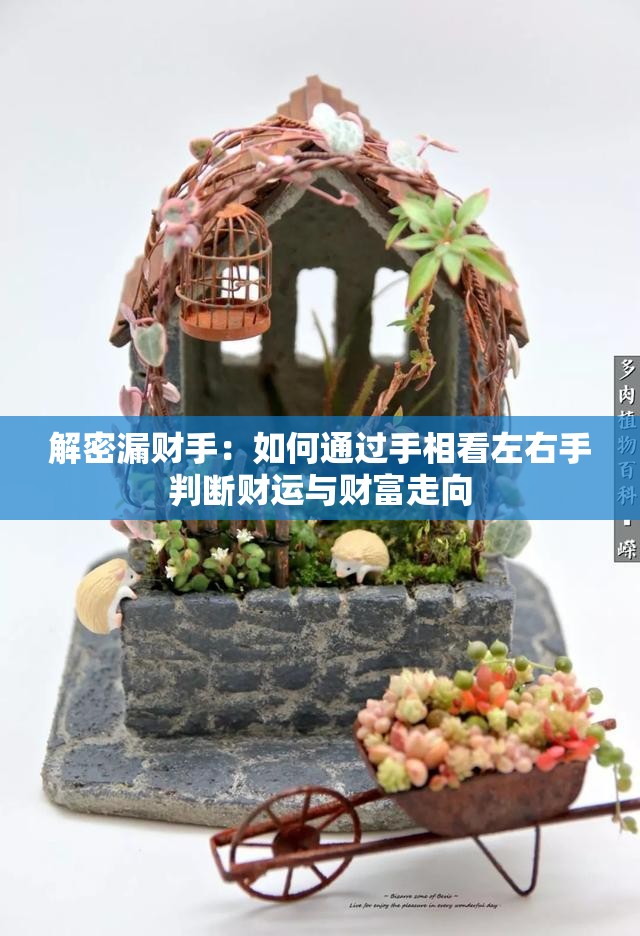 解密漏财手：如何通过手相看左右手判断财运与财富走向
