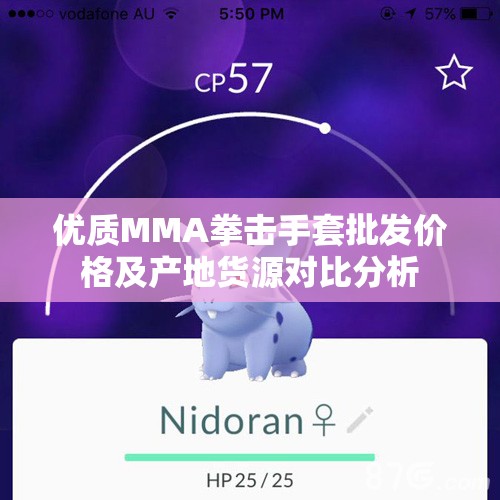 优质MMA拳击手套批发价格及产地货源对比分析
