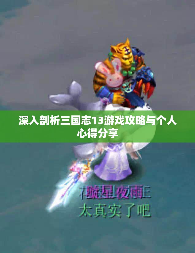 深入剖析三国志13游戏攻略与个人心得分享