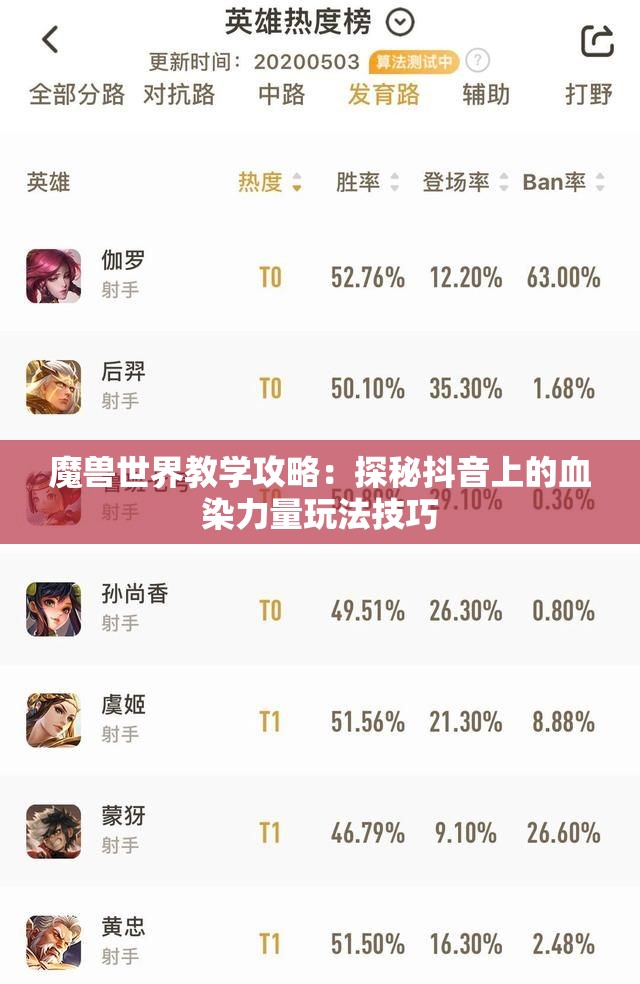 魔兽世界教学攻略：探秘抖音上的血染力量玩法技巧
