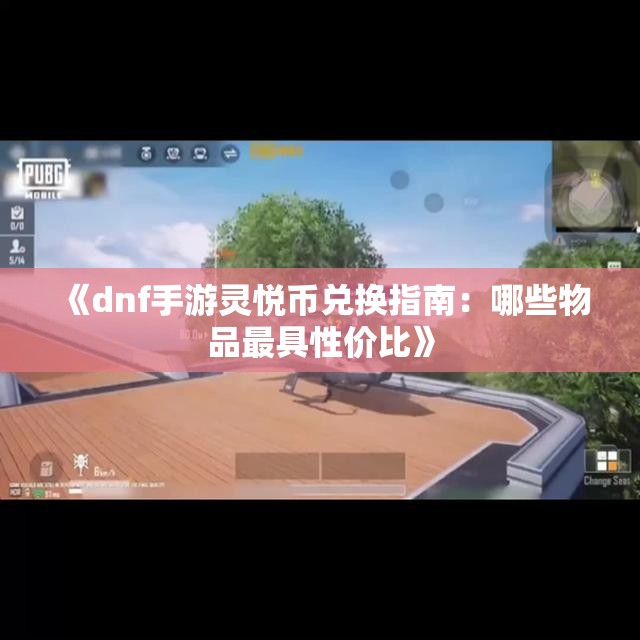 《dnf手游灵悦币兑换指南：哪些物品最具性价比》