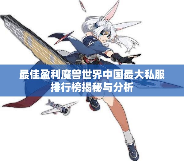 最佳盈利魔兽世界中国最大私服排行榜揭秘与分析