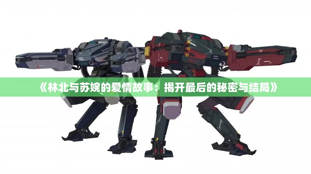 《林北与苏婉的爱情故事：揭开最后的秘密与结局》