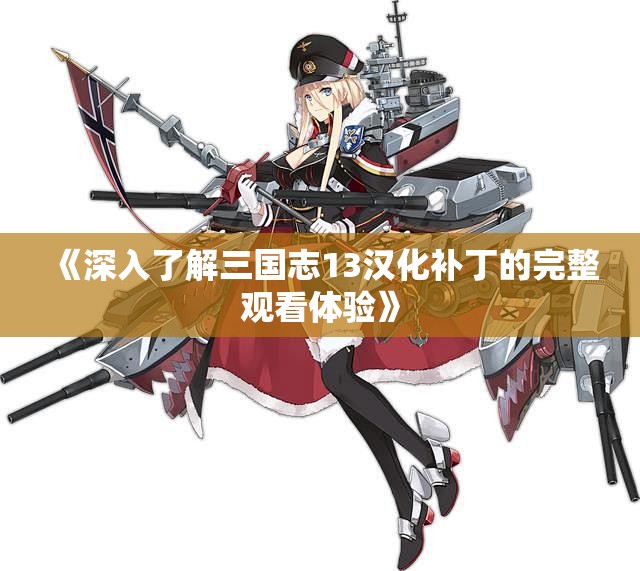 《深入了解三国志13汉化补丁的完整观看体验》