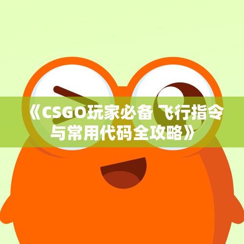 《CSGO玩家必备 飞行指令与常用代码全攻略》